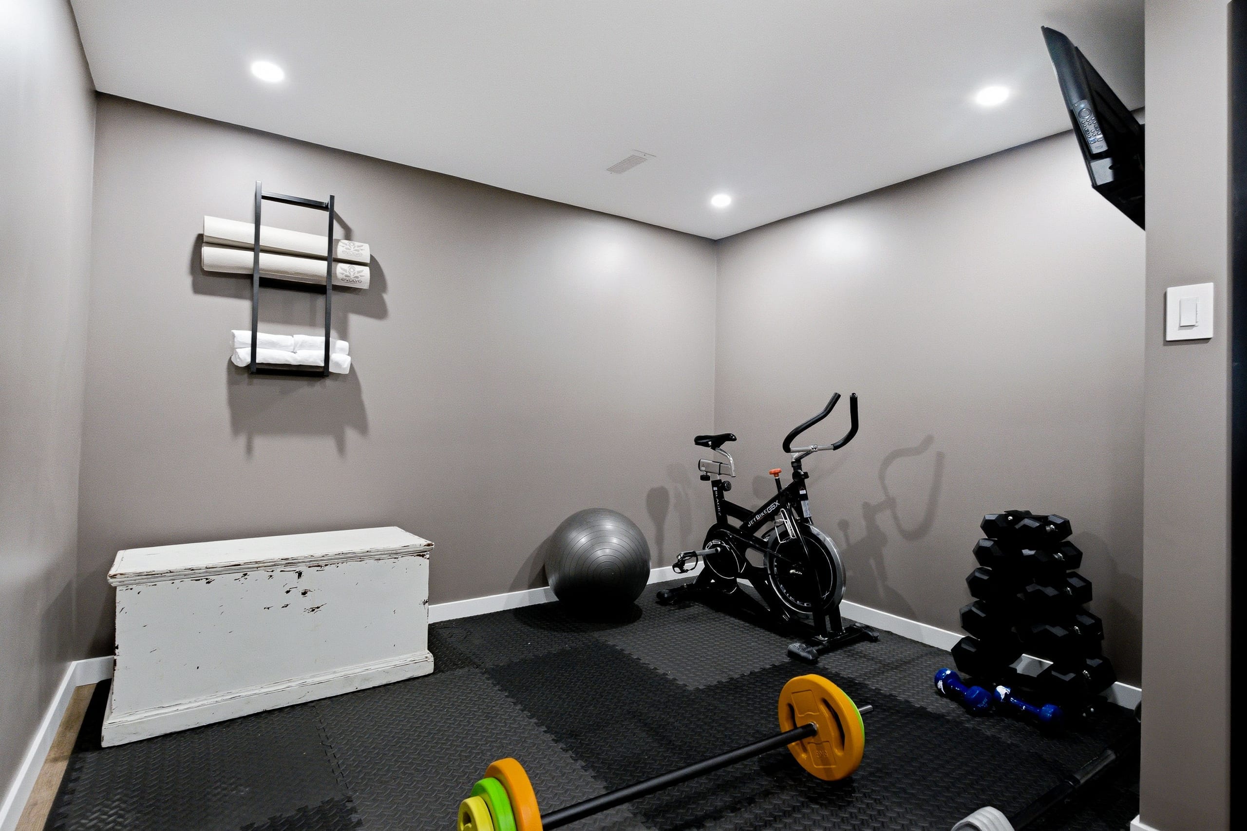 Luxury Basement Renovation — Stittsville — 6