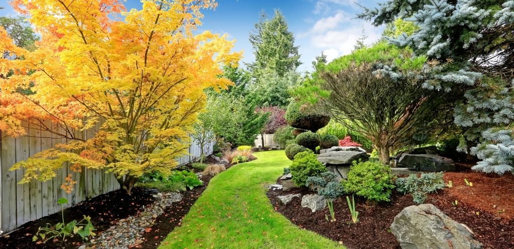 landscape design for backyard