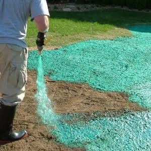 Hydroseeding img 1.jpeg